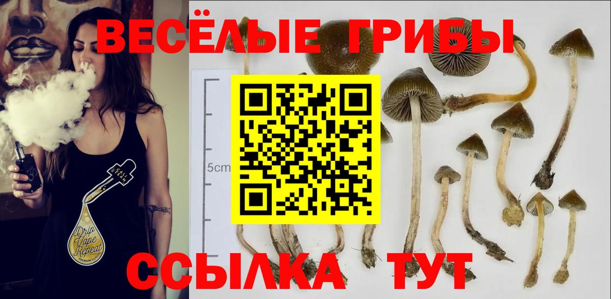 Галлюциногенные грибы Magic Shrooms Когалым
